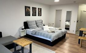 Studio an der Elbe mit Balkon, Küche und Netflix